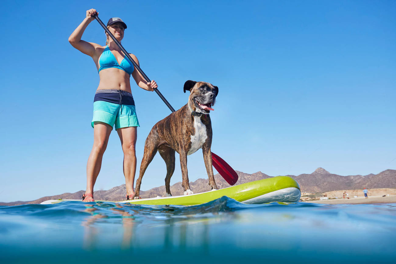Woman paddle-boarding with dog