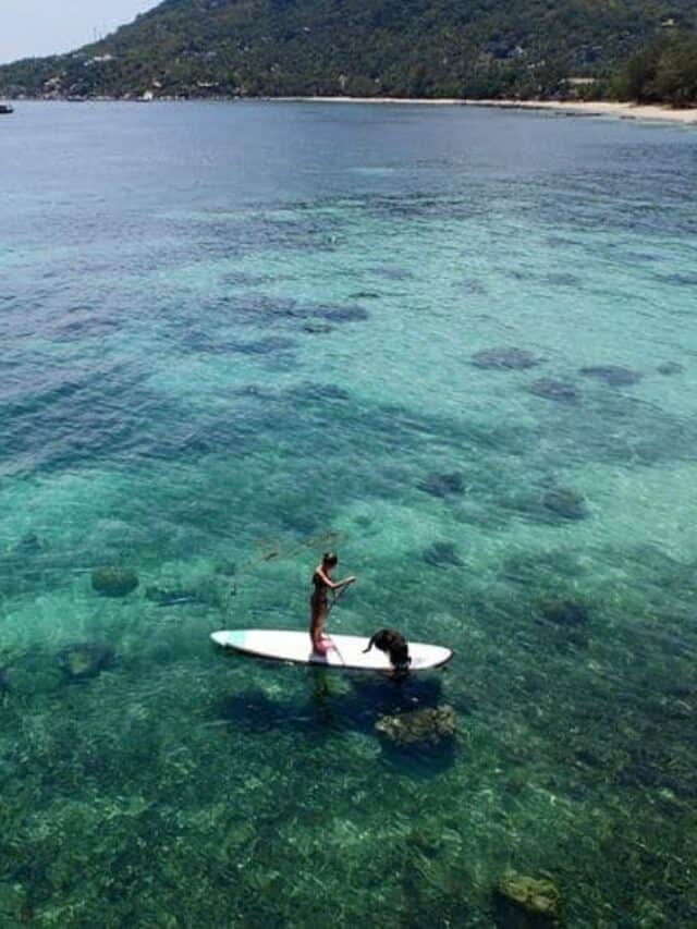 8 Best Places To Go Stand Up Paddle Boarding in Thailand